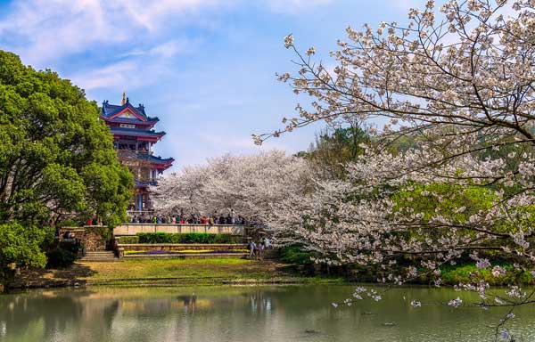 華東旅游