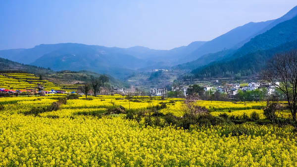 華東旅游
