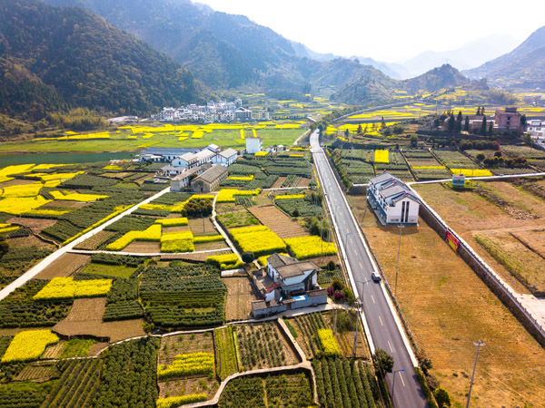 華東旅游