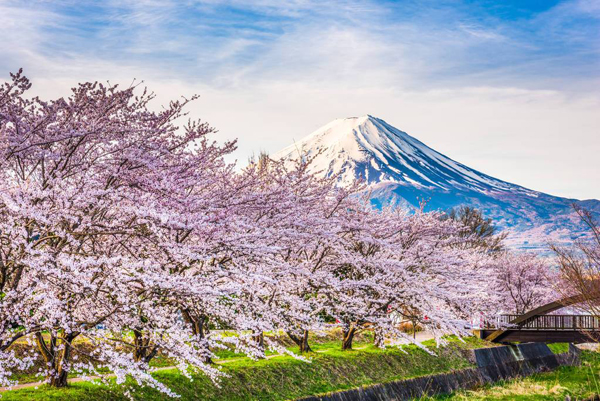 日韓旅游