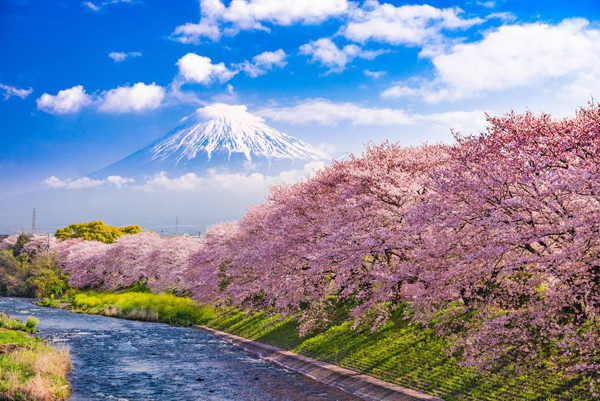 日韓旅游