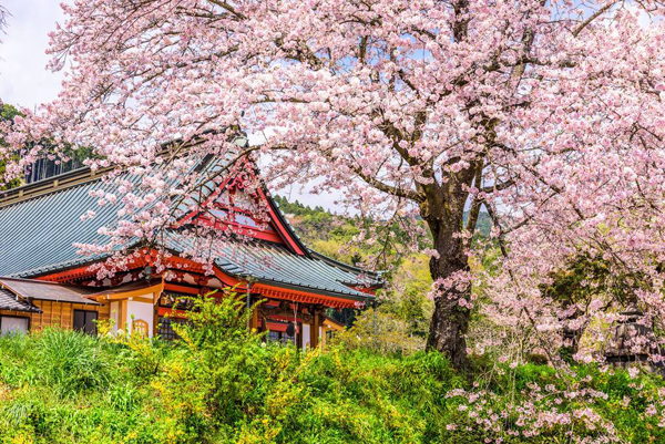 日韓旅游