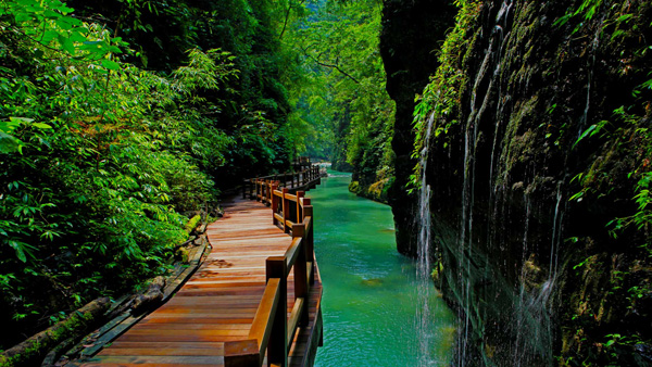 重慶旅游