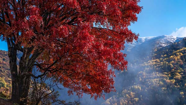 西北旅游