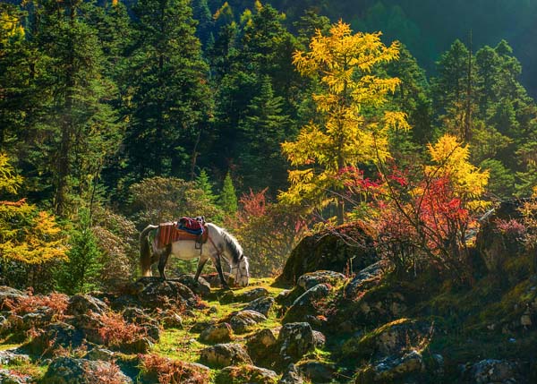 西北旅游