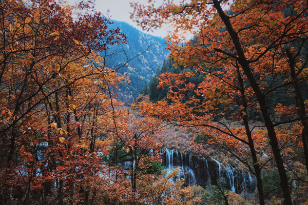 西北旅游