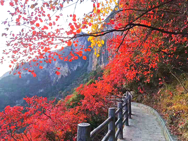 重慶周邊旅游