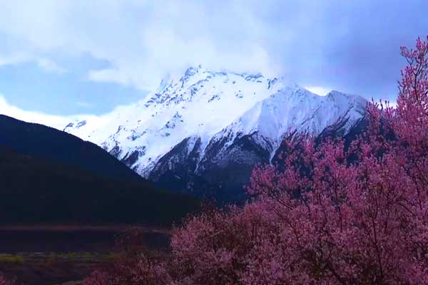 西藏旅游