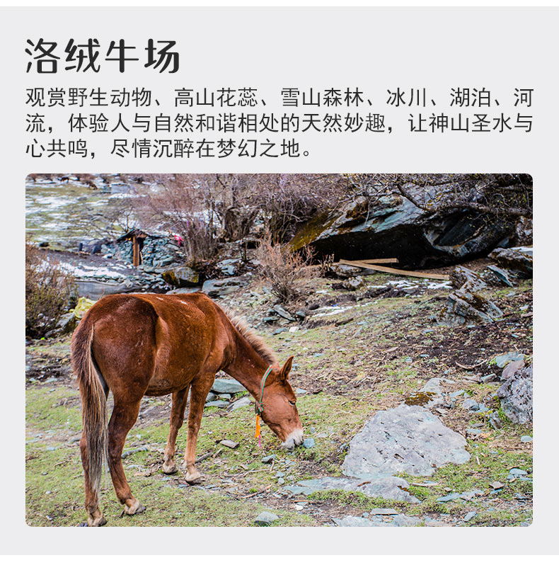 稻城包裝05 稻城包裝05